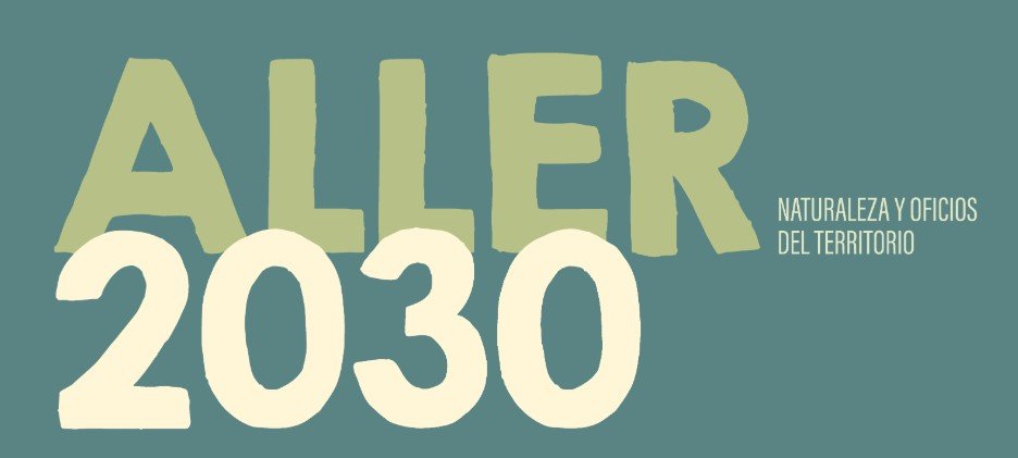 En este momento estás viendo 🏆 Ganadores de los concursos “Aller 2030” de fotografía y dibujo
